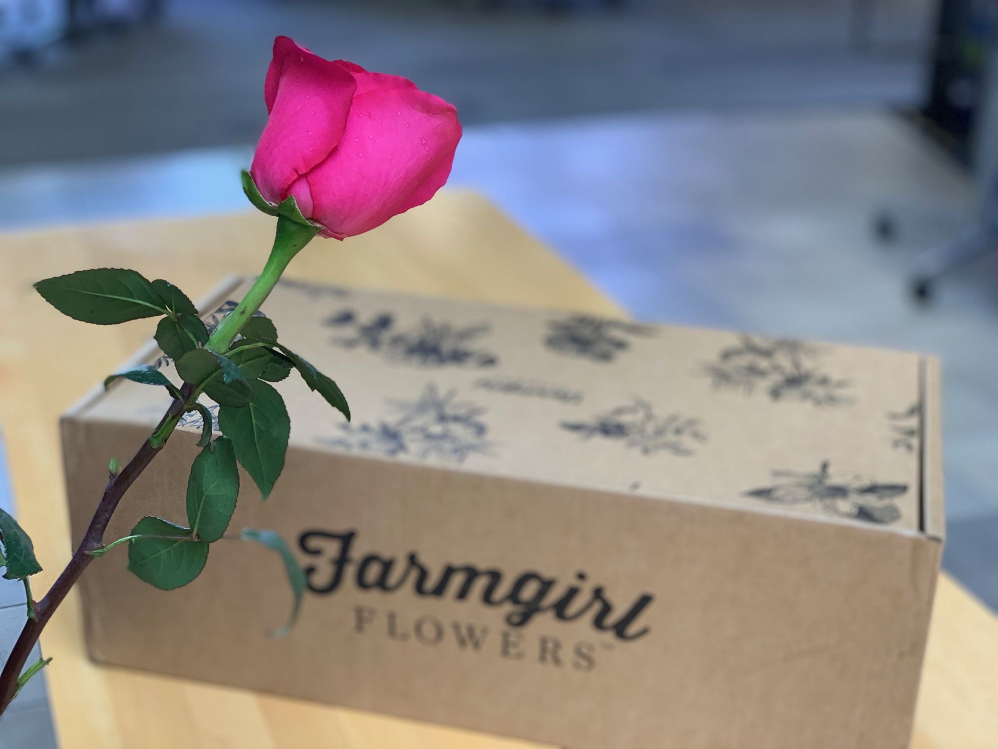 Pink rose in front of Farmgirl box